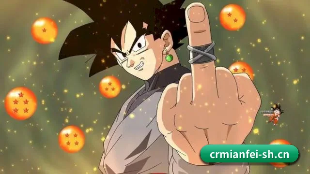 🌟 平台介绍 - 体育资讯内容服务